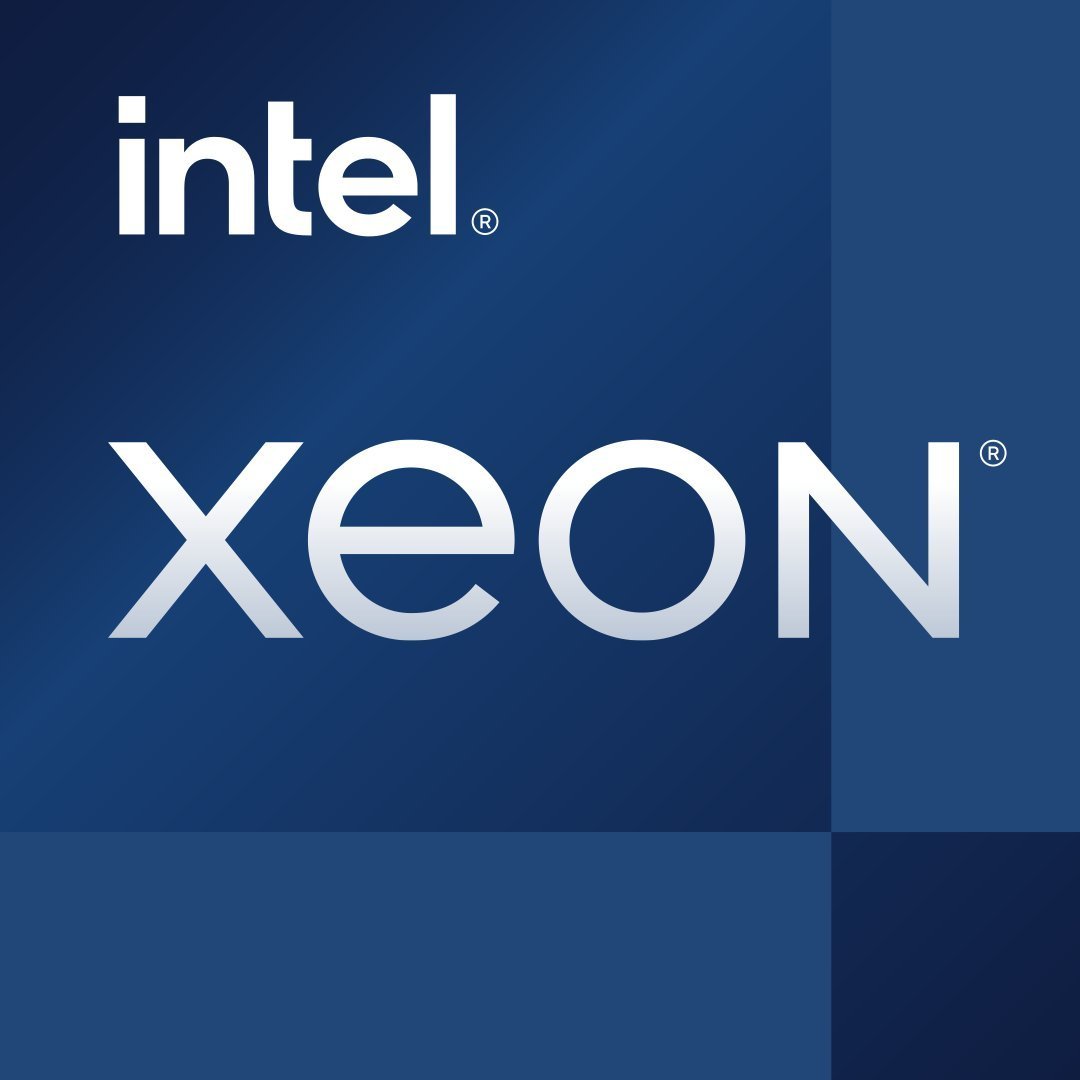 Procesor serwerowy Intel Intel Xeon E-2414