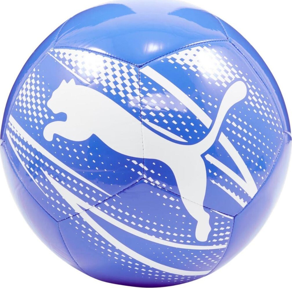 Puma Attacanto 84073 13 5 |