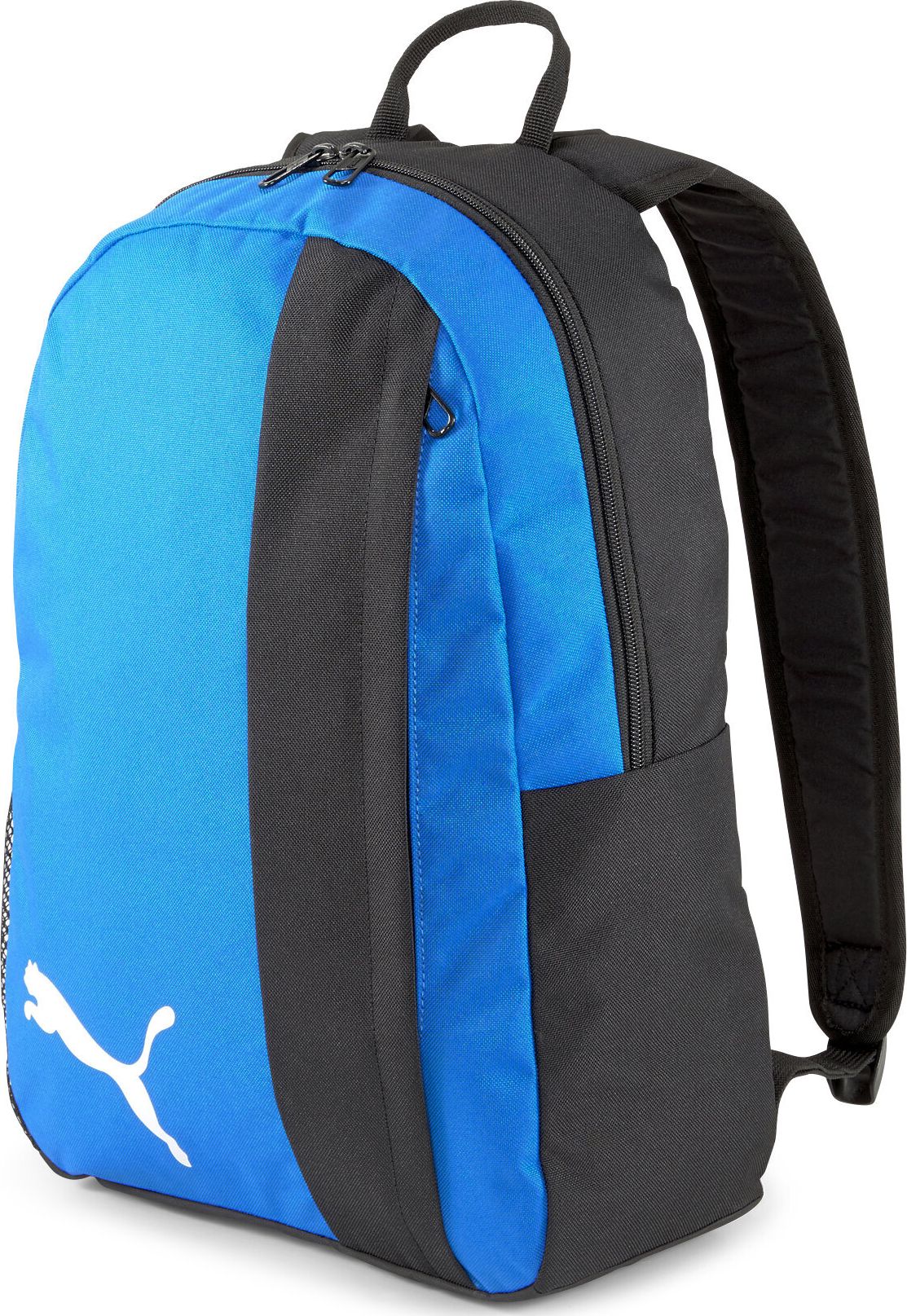 Puma  Team Goal 23  (076854-02) |