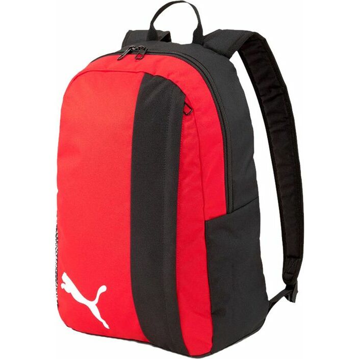 Puma Puma teamGOAL 23  01 :