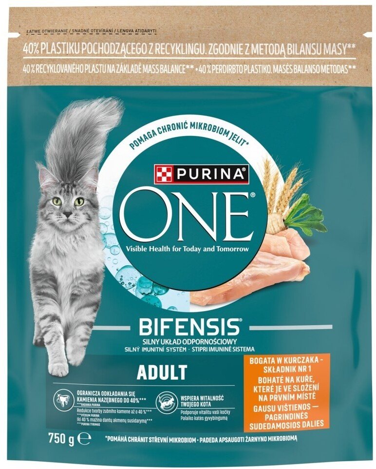 Purina Karma suchaOne Mini Active bogata