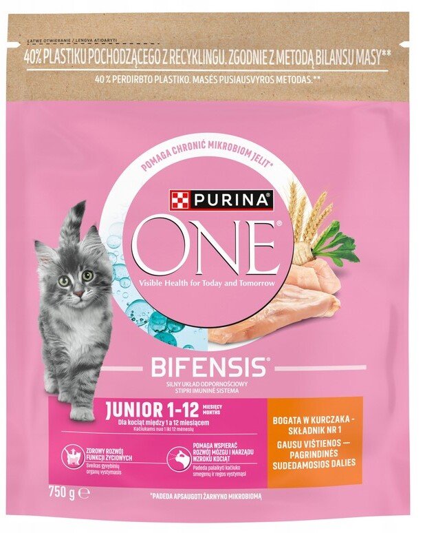 Purina One Junior Karma z750g |