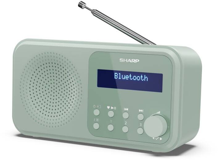 Sharp Tokyo Digital Radio | DR-P420(GN)