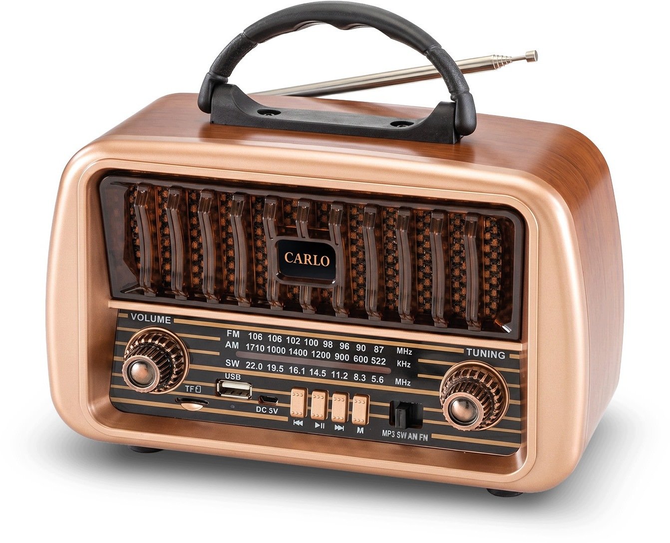 Luvianta Forever Electro Radio AM/FM CARLO