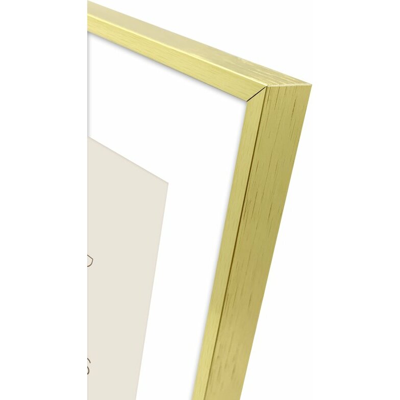 Focus Aster Gold 20x25/PP 15x20 |