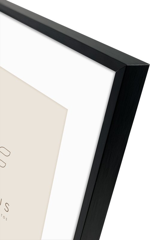 Focus Focus Aster Black 30x40/PP 20x30