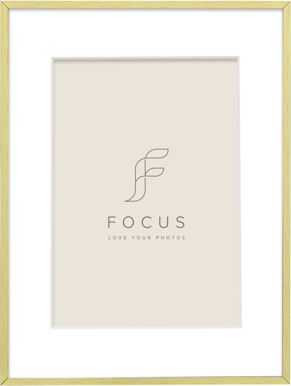 Focus Focus Aster Gold 18x24/PP 13x18