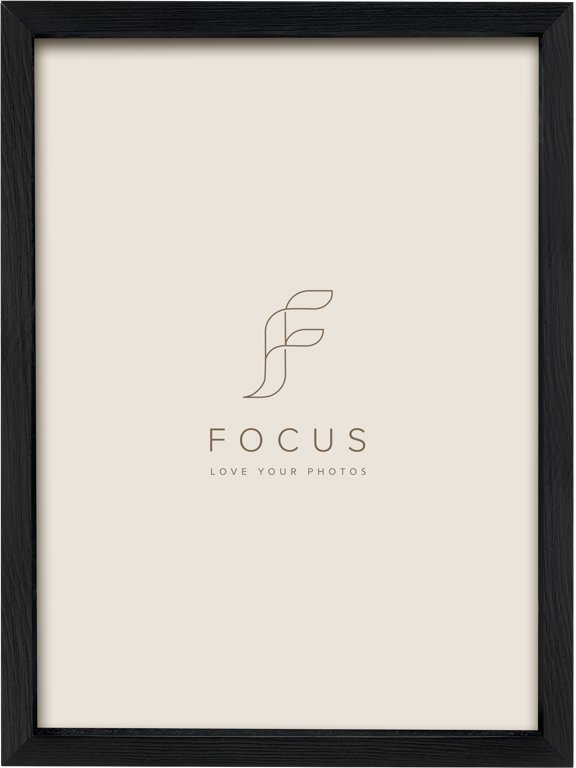 Focus Focus Willow Black 24x30 |