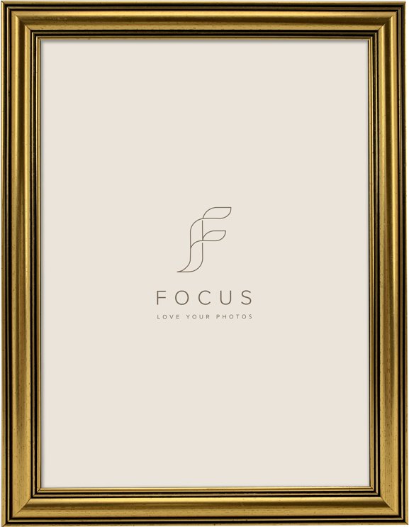Focus Holly Gold 18x24 | 132615