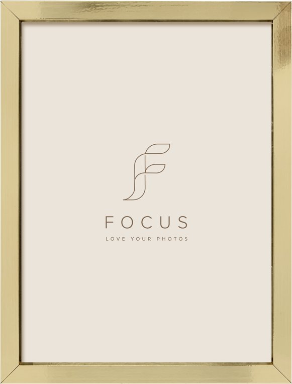 Focus Ivy Gold 24x30 | 132409