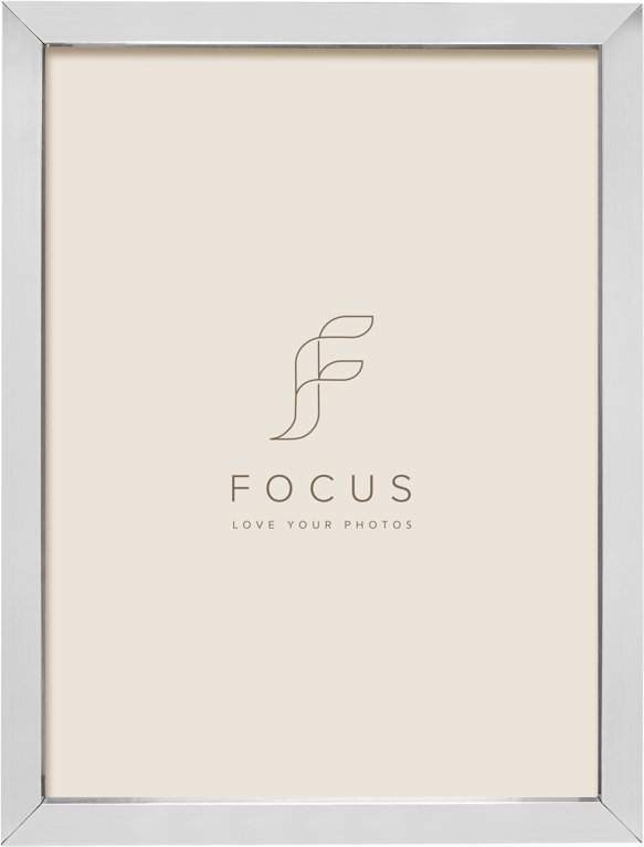 Focus Ivy Silver 24x30 | 132418