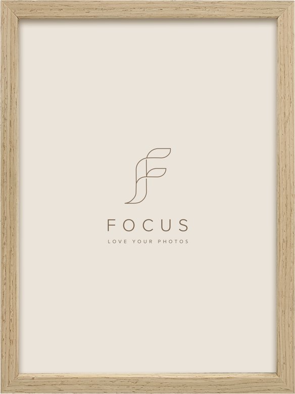 Focus Willow Oak 21X29,7 (A4)