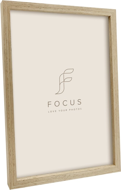 Focus Willow Oak 35X50 | 132484