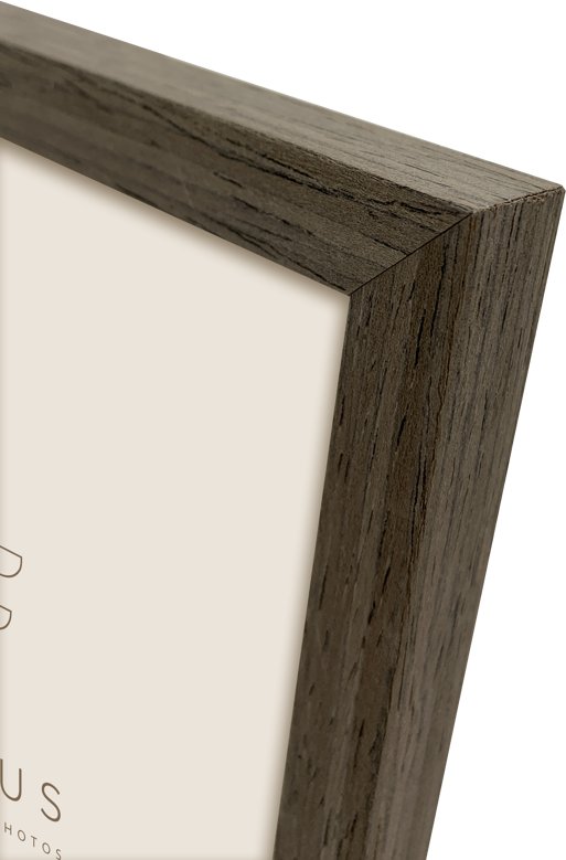 Focus Willow Walnut 40X50 | 132503