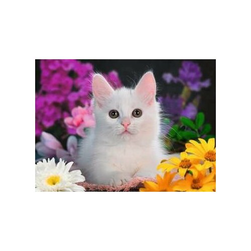 Ravensburger Ravensburger Childrens puzzle glitter cat