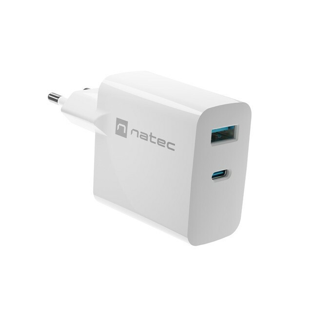 Natec RiberaGAN USB 45W wall charger