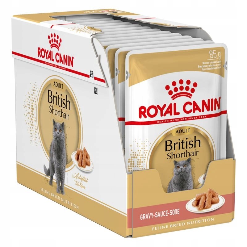 ROYAL CANIN British Shorthair  - wet