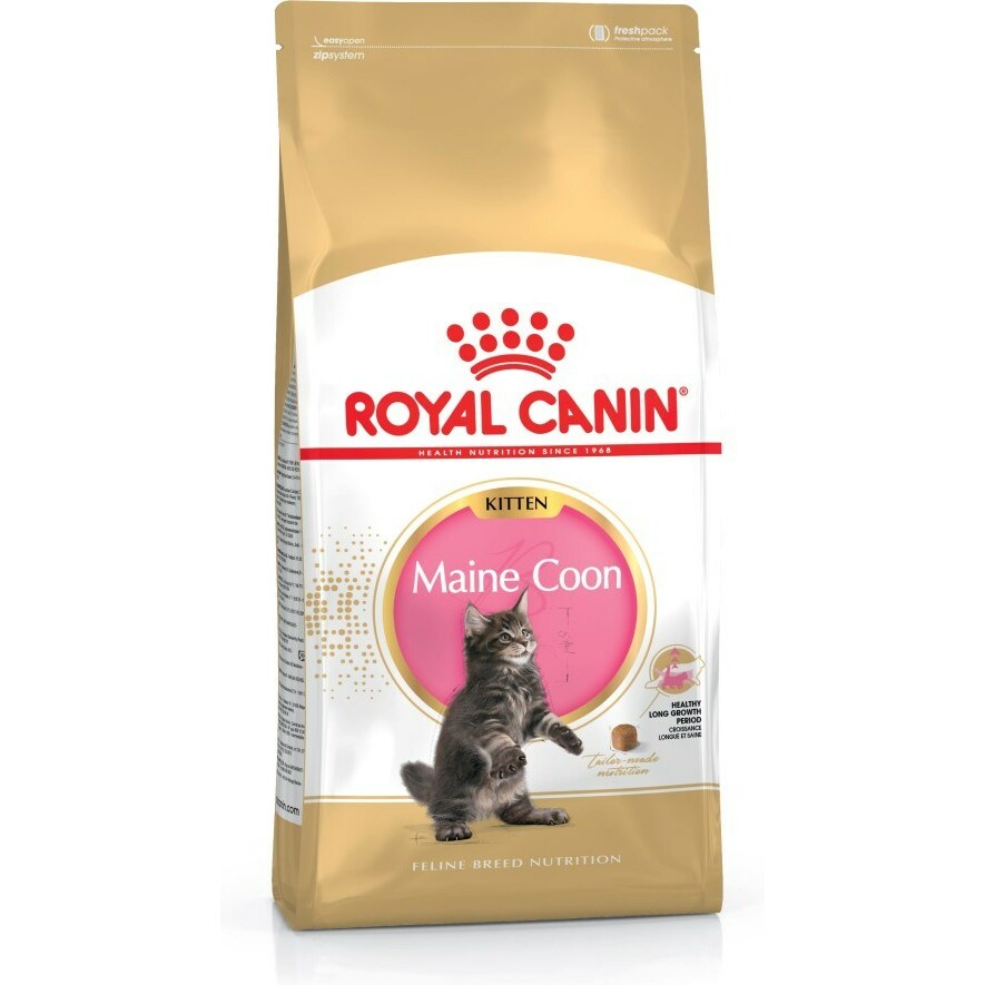 ROYAL CANIN Maine Coon Kitten- dry
