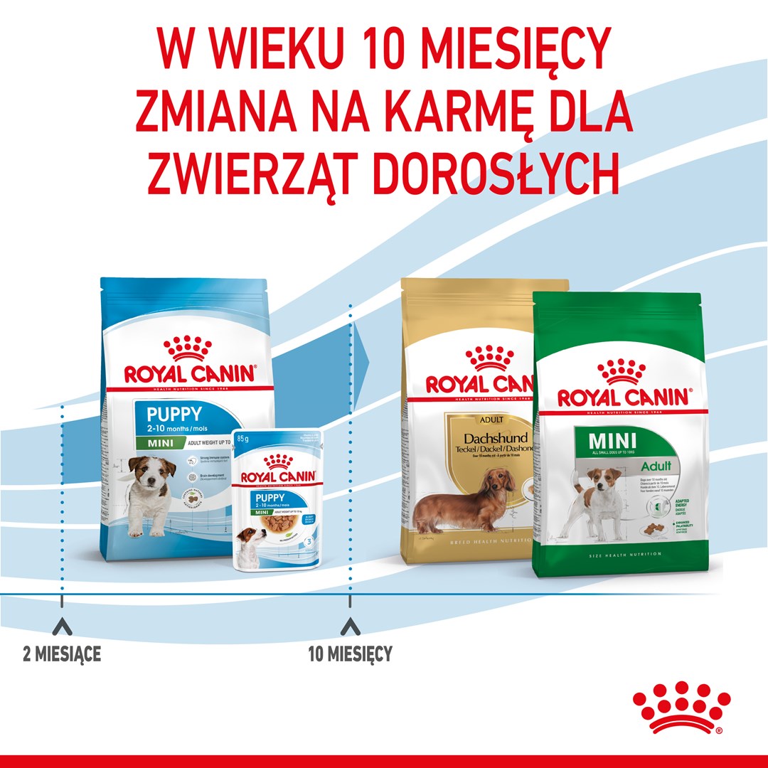 ROYAL CANIN Puppy Mini - dry