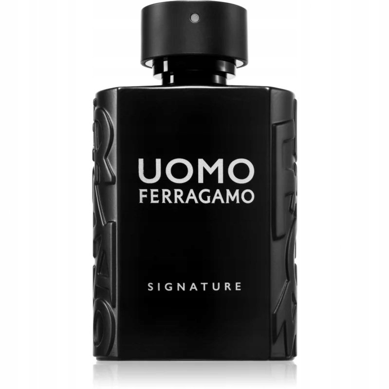 Salvatore Ferragamo Uomo Signature owana -