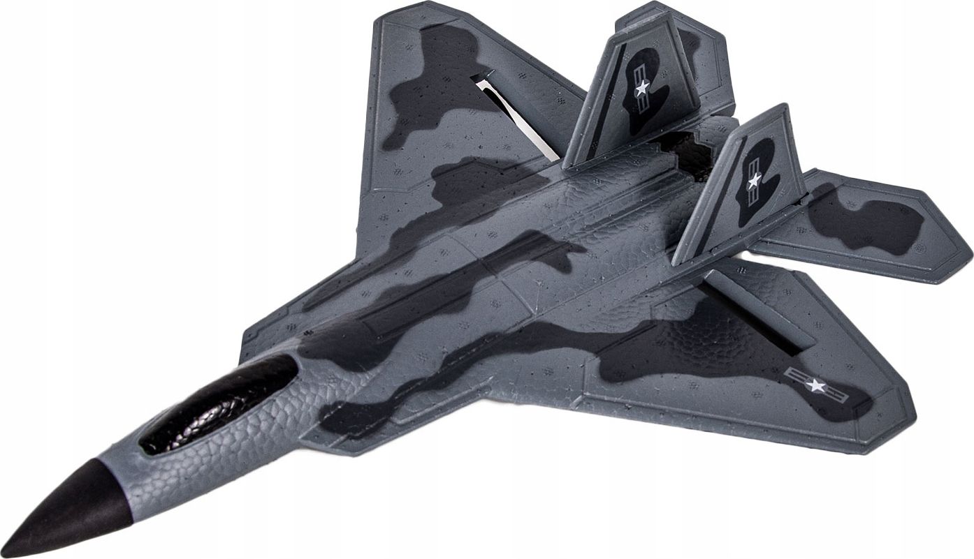 Fleg F-22 Raptor Ready To Fly