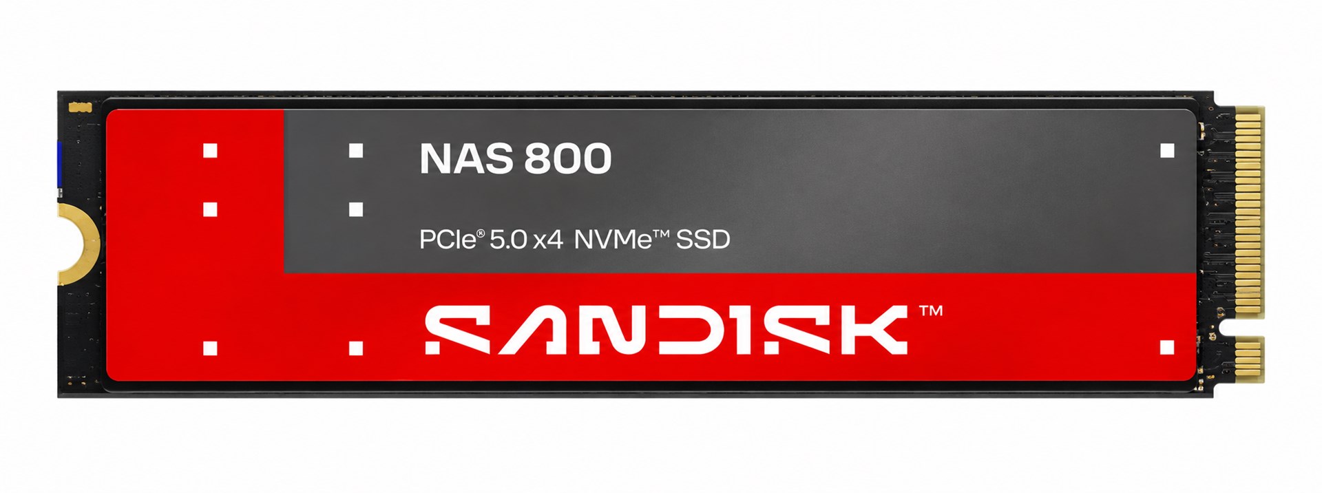 SANDISK 3,84 TB NAS 800