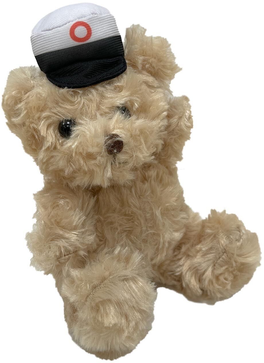 Sandy Teddy bear with red student