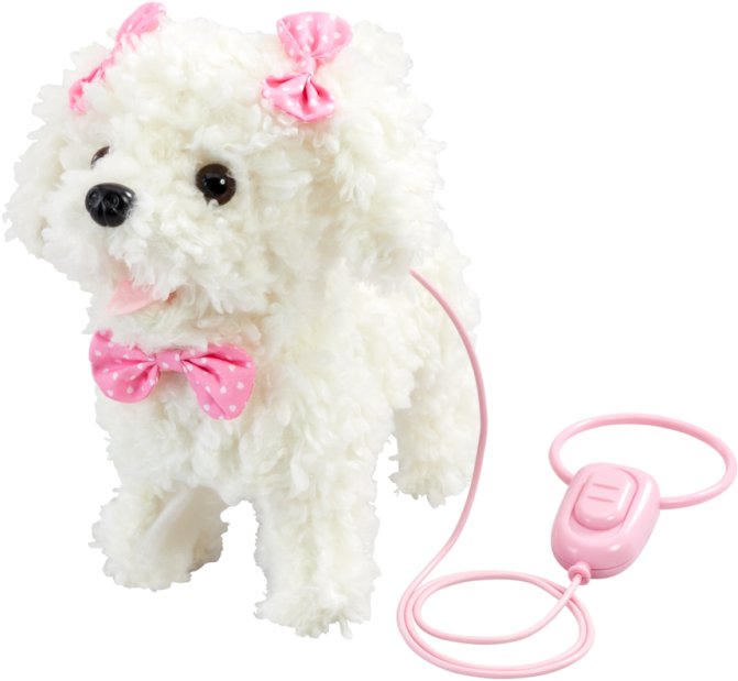 Sandy Walk Along Puppy - Poodle