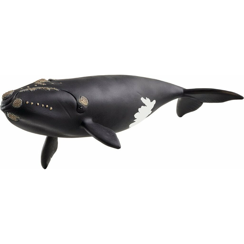 Schleich North Atlantic Right Whale |