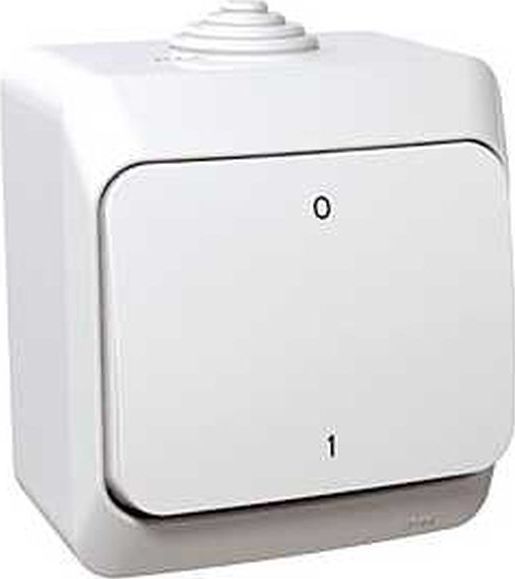 Schneider Electric Cedar Plus  dwubiegunowy natynkowy