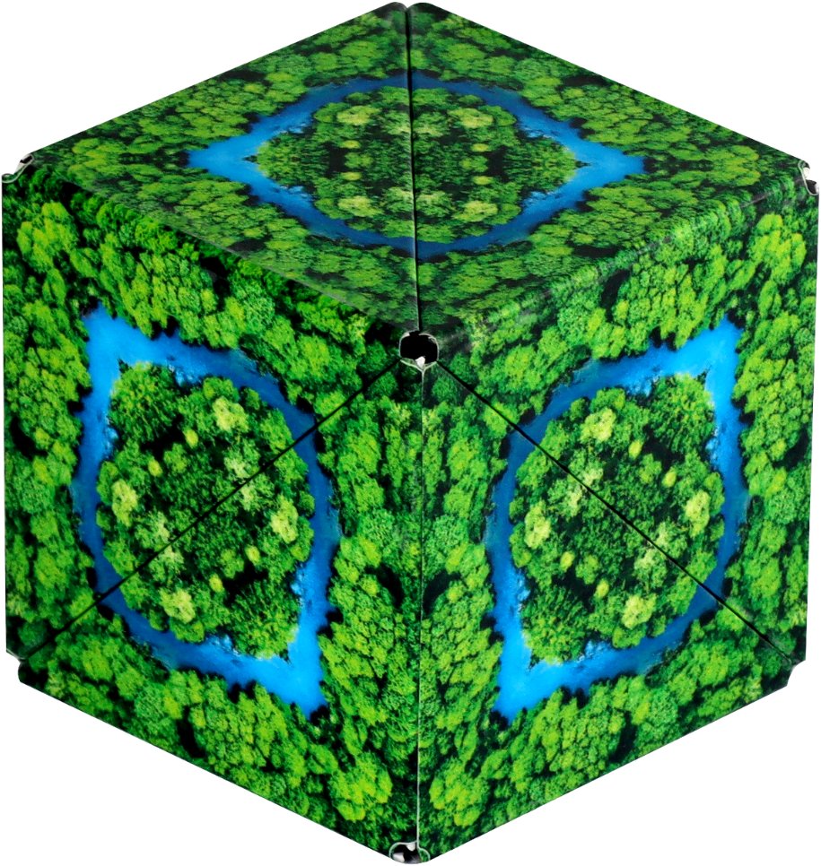 SHASHIBO JUNGLE | 021-SHA27JG | 850033276510