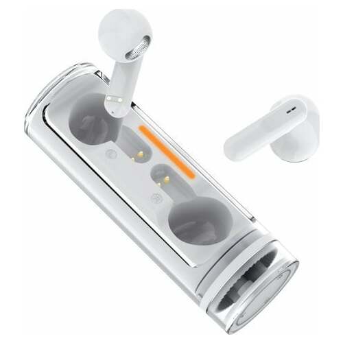 2GO Twist True Wireless Stereo  (797600)