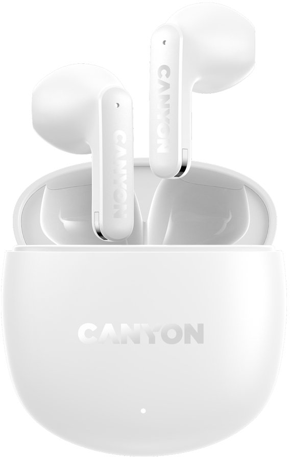 Canyon TWS OnGo 13 (CNS-TWS13W) |