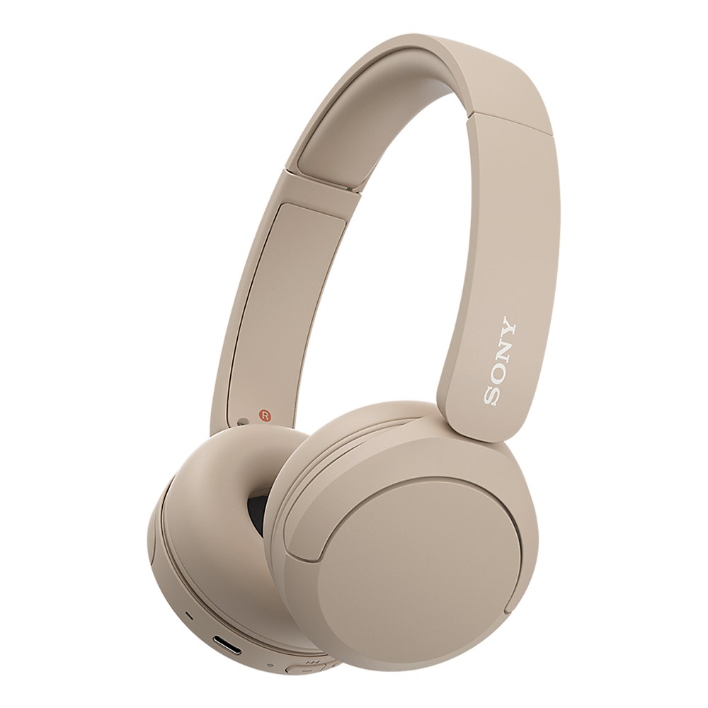 Sony  Bluetooth WH-CH520 | S7822532 |