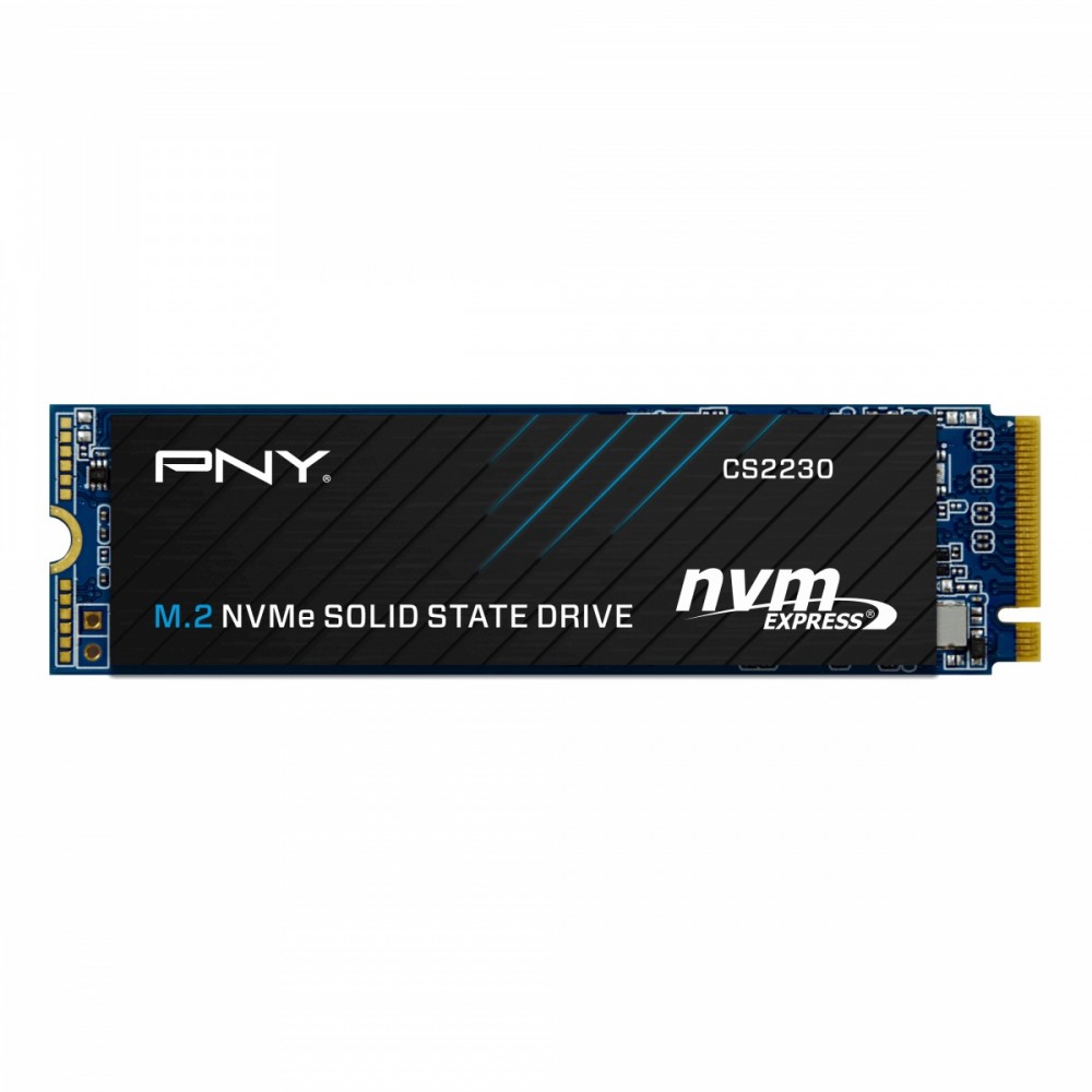 PNY TECHNOLOGIES PNY CS2230 500 GB