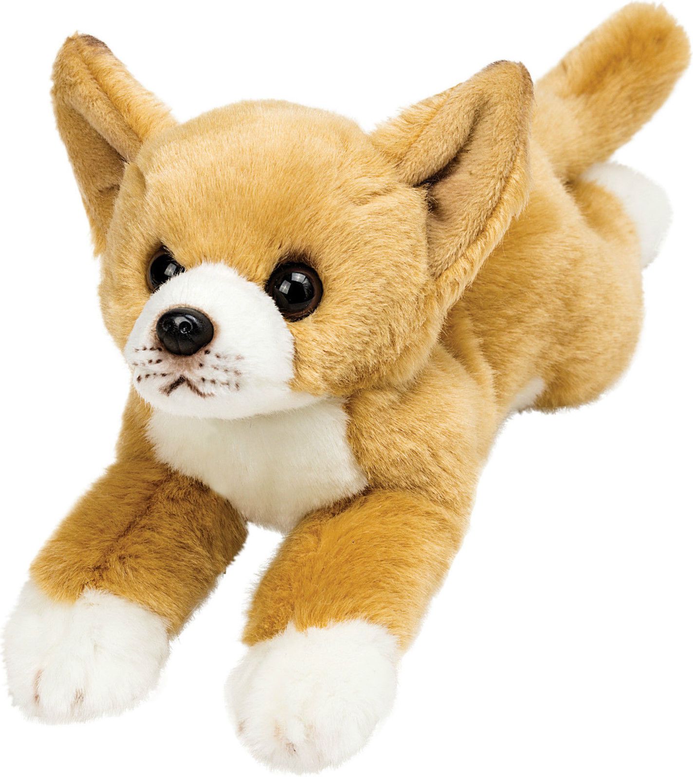 Suki Leżący Chihuahua | 196984 |