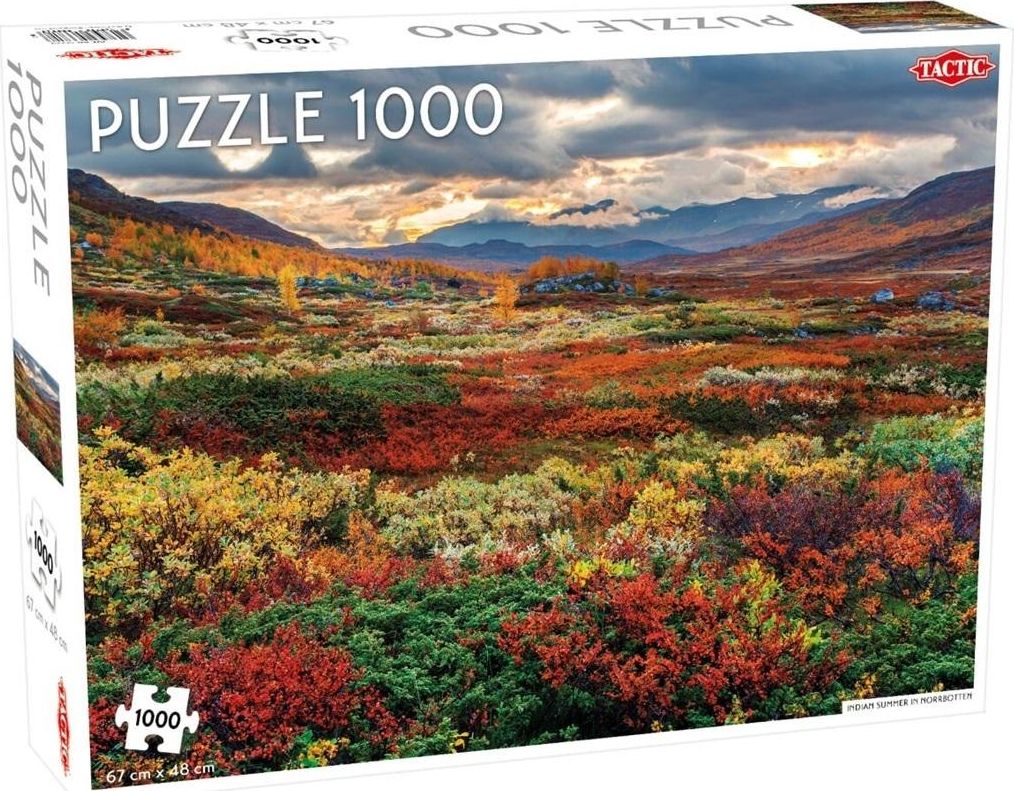 Tactic PROMO Puzzle  Around the World