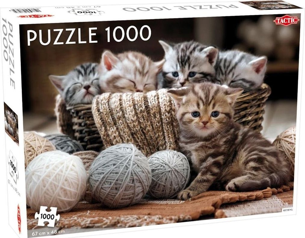 Tactic Puzzle 1000 | 404423 |