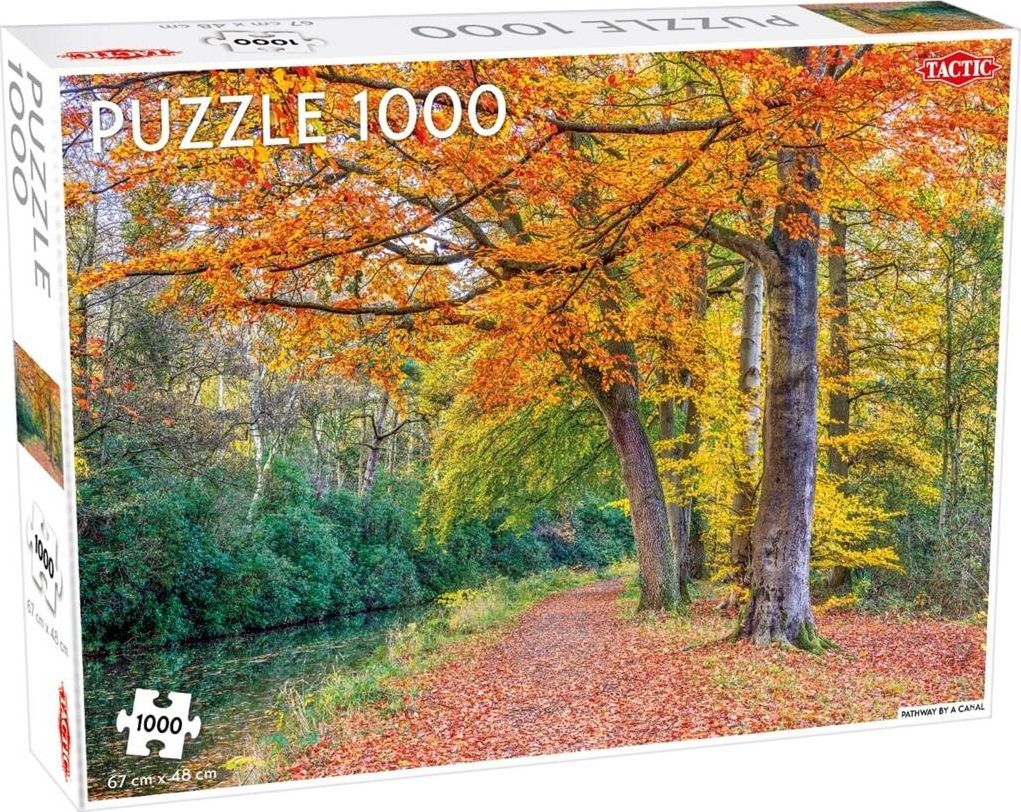 Tactic Puzzle 1000 Pathway by a