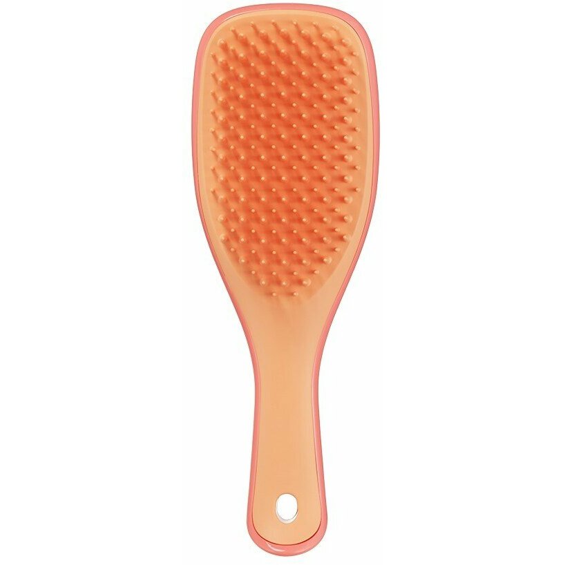 Tangle Teezer The Ultimate Detangler Mini