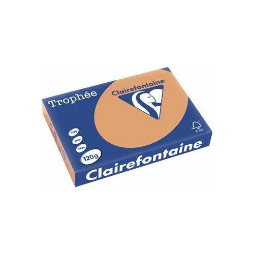 Trophee Papier ksero A4 80g  500