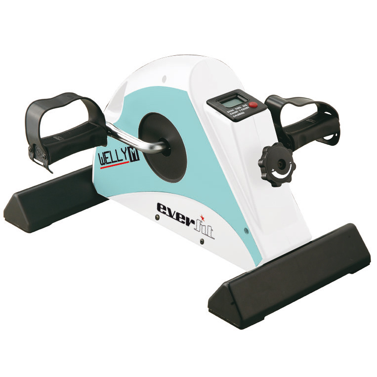 Exercise bike EVERFIT mini WELLY-M |