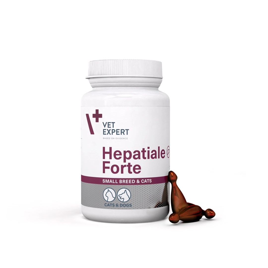 VET EXPERT VETEXPERT Hepatiale forte Small