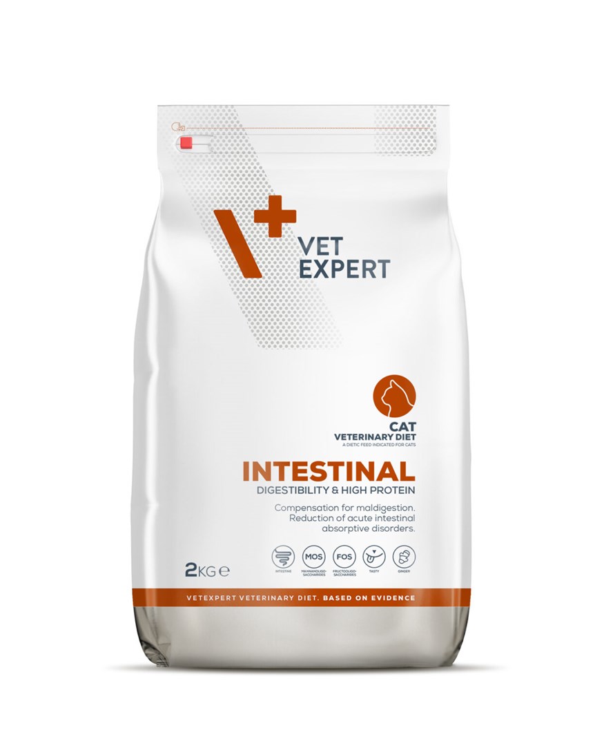 VET EXPERT VETEXPERT Veterinary Diet Intestinal