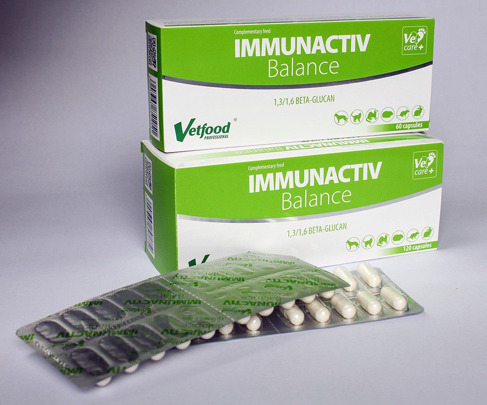 VETFOOD Immunactiv Balance - supplements for
