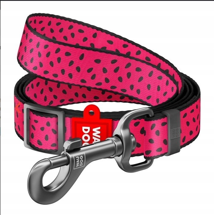 Waudog WAU DOG Smycz nylon 20mm/152-183cm