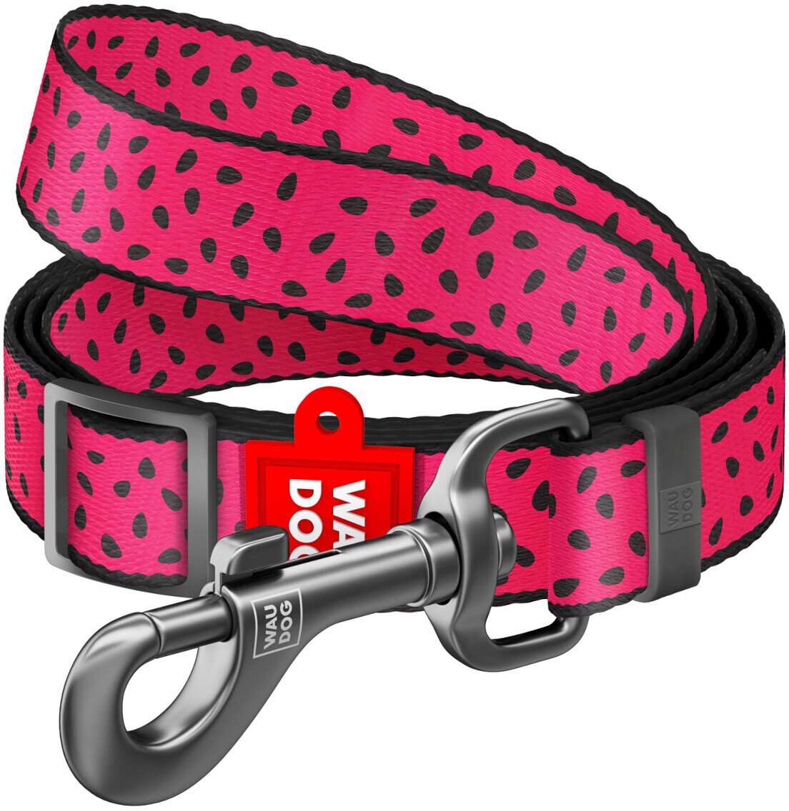 Waudog Wau Dog smycz nylon 25mm/152-183cm