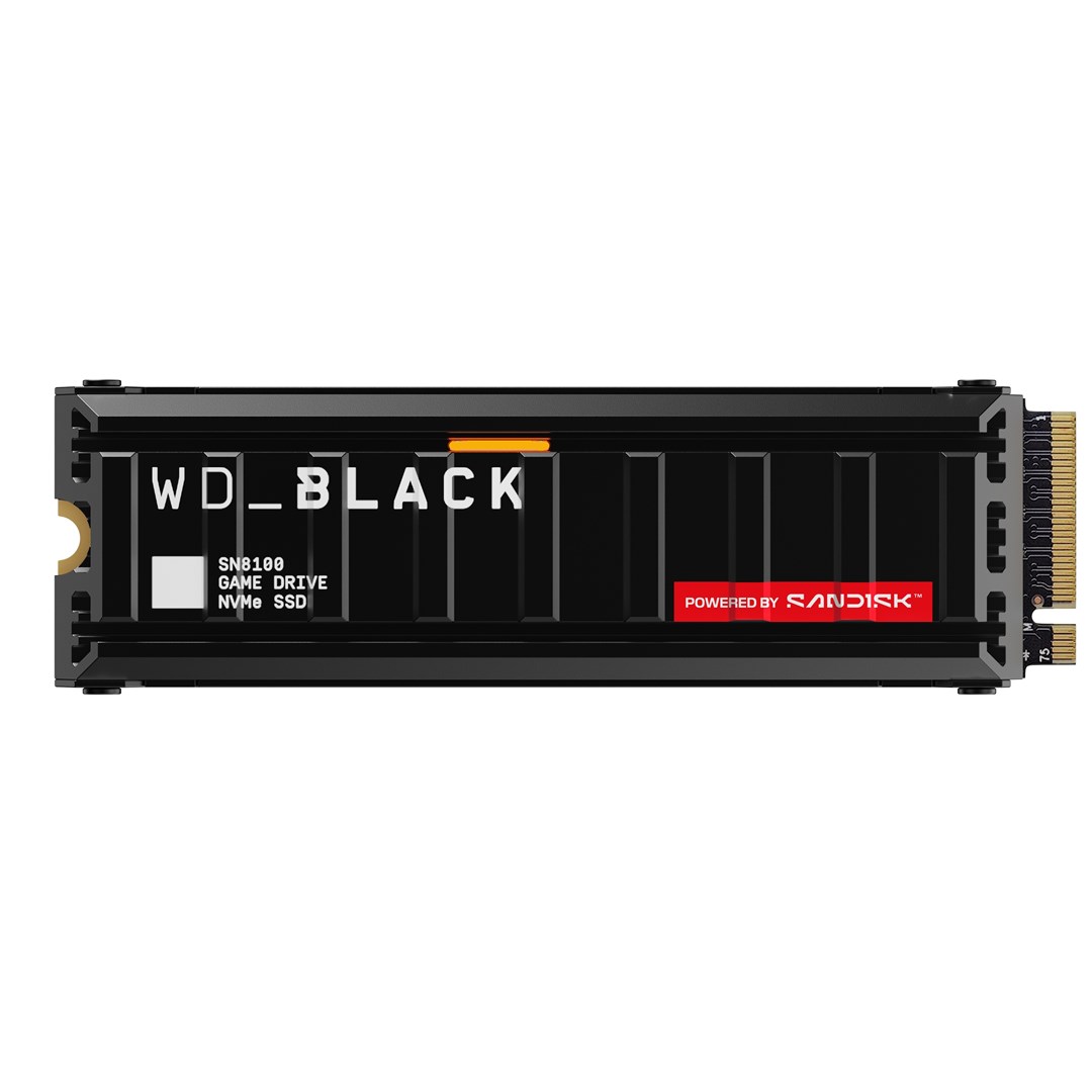 Dysk SSD WD SN8100 1TB M