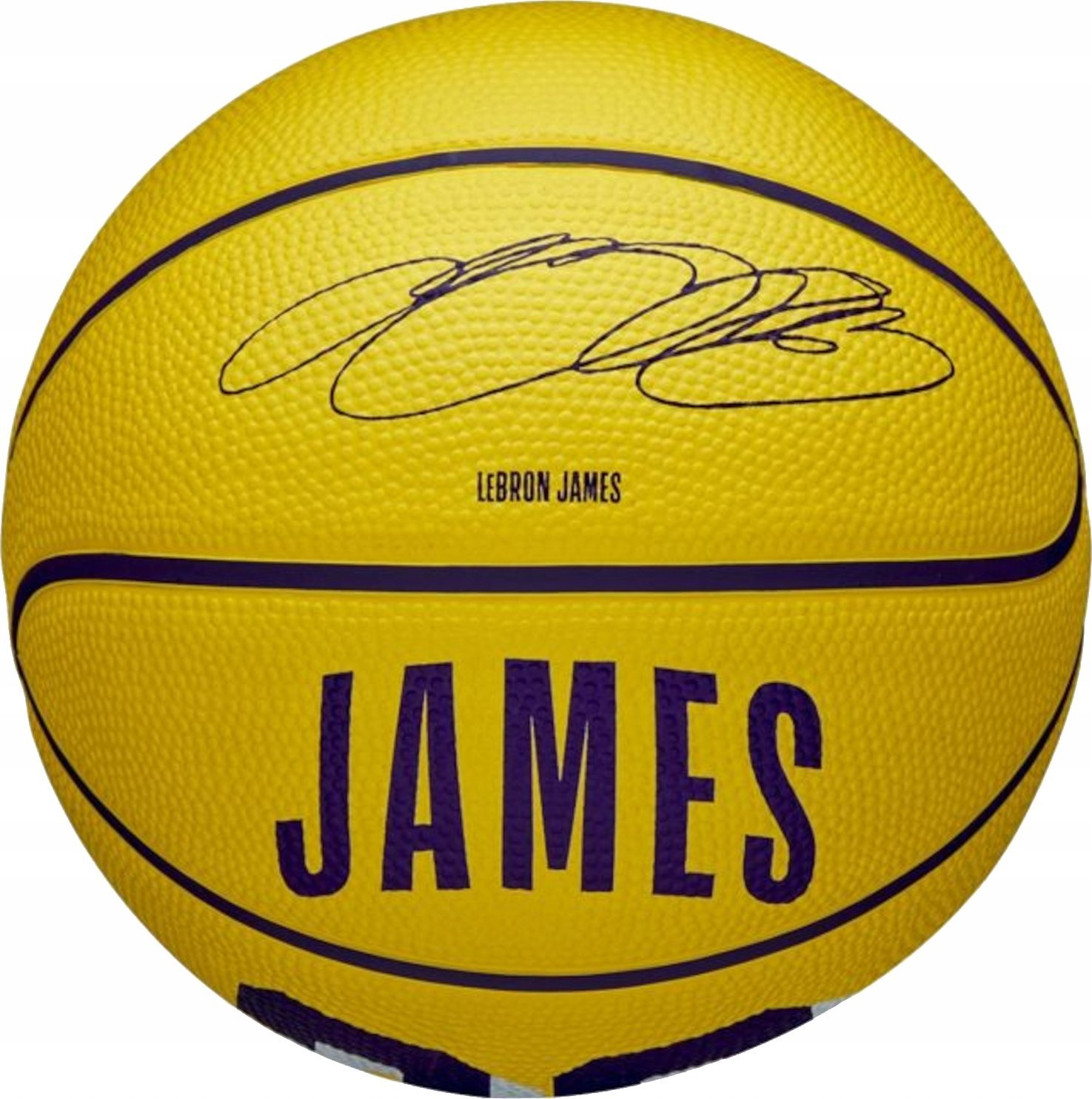 Wilson Wilson NBA Player Icon LeBron